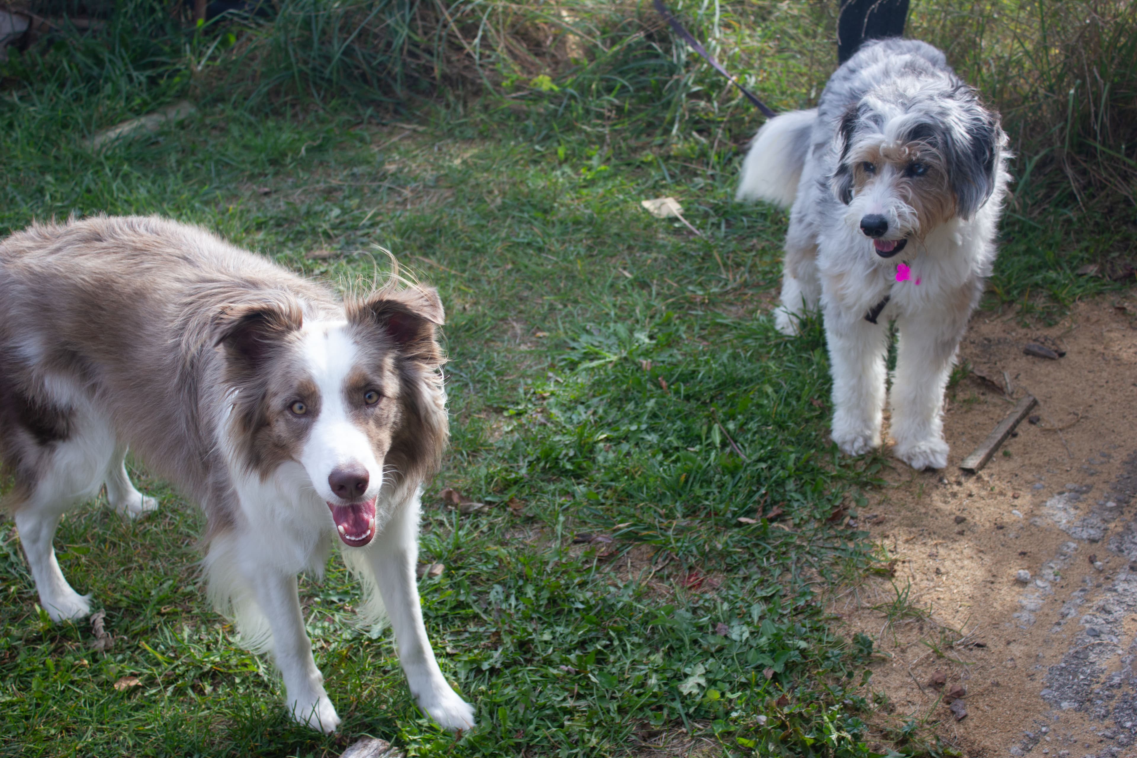 Smith & Wright Hardwoods workshop