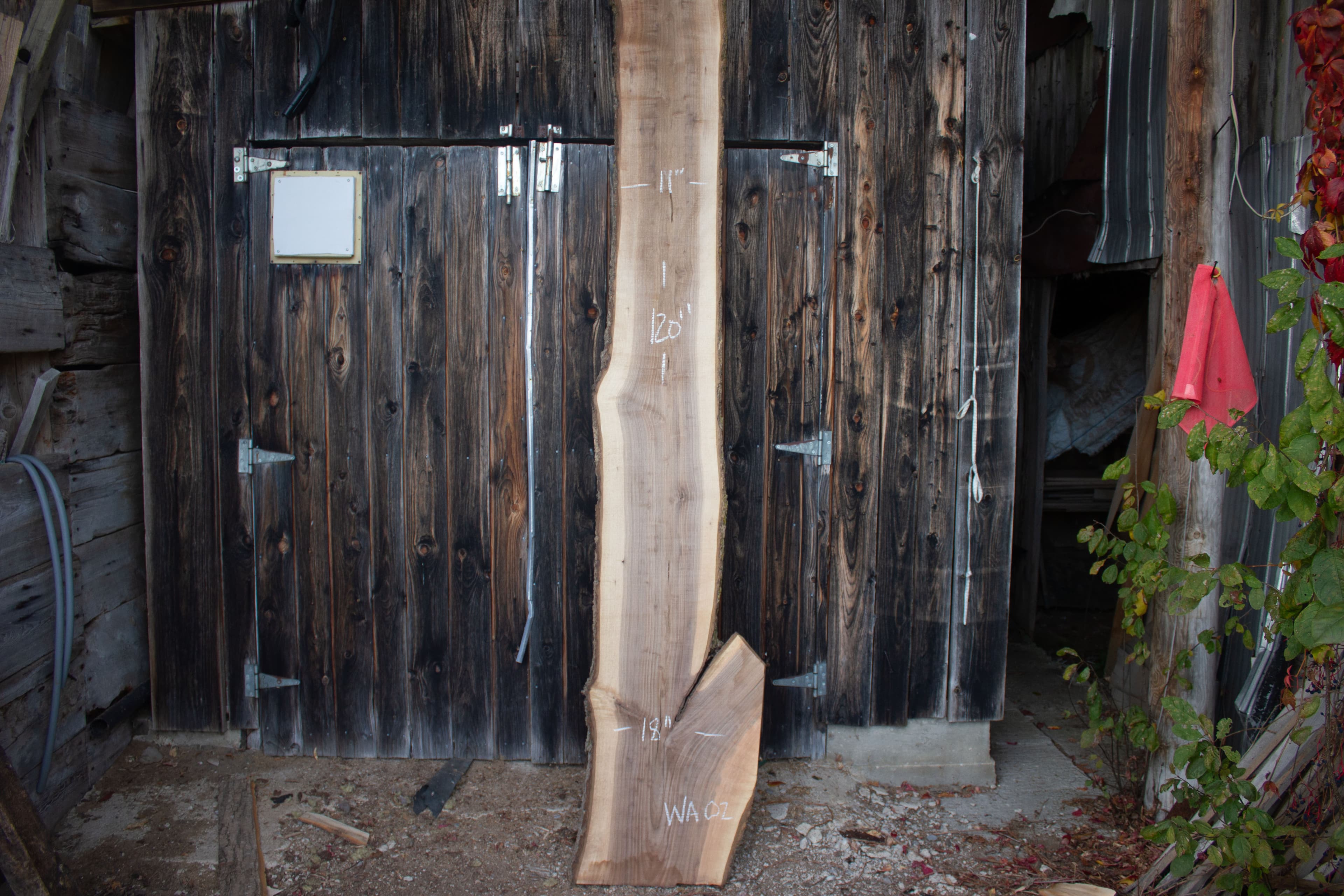 Black Walnut live edge slab - Black Walnut Live Edge Slab main view WA02