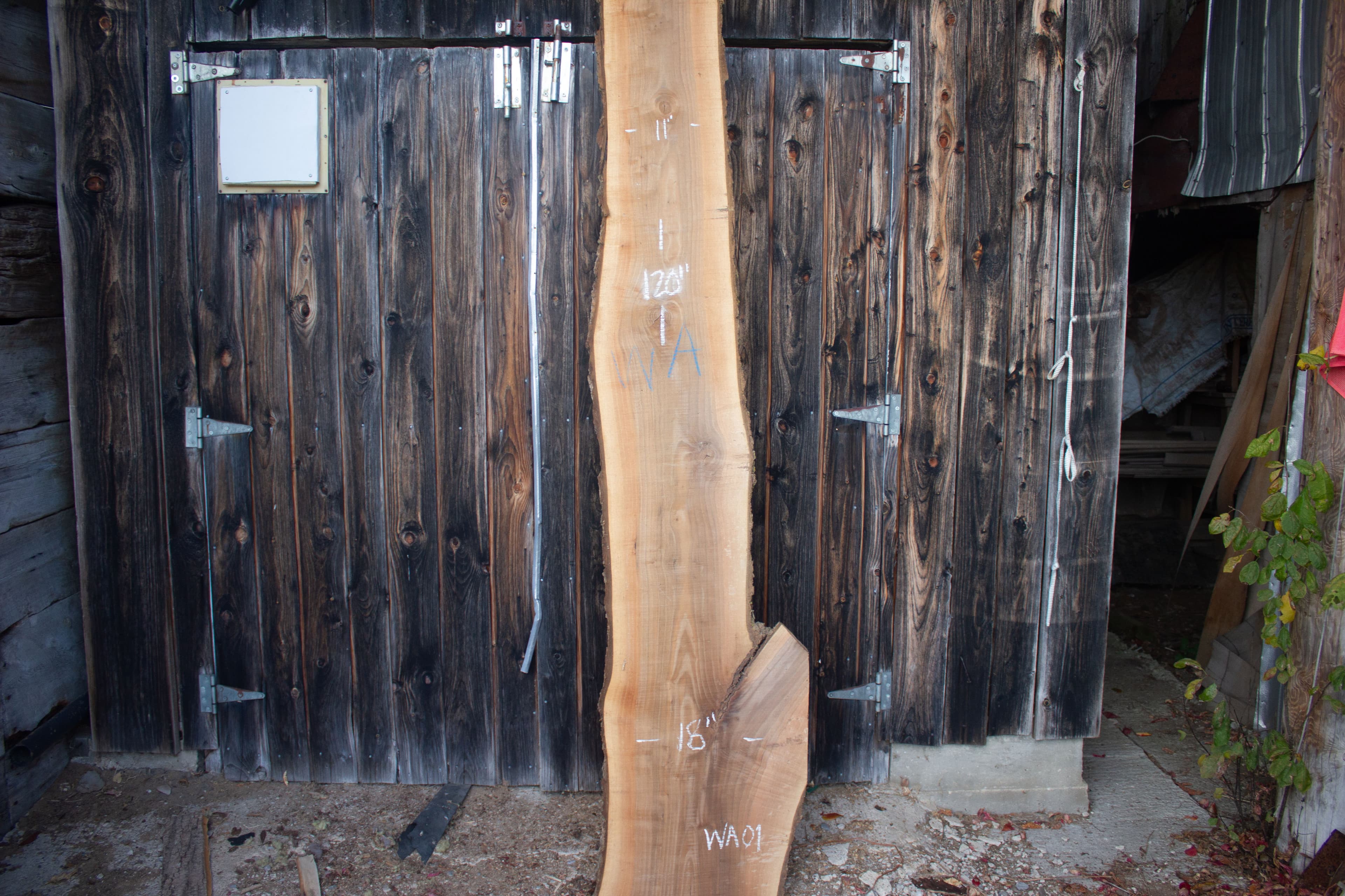 Black Walnut live edge slab - Black Walnut Live Edge Slab main view WA01