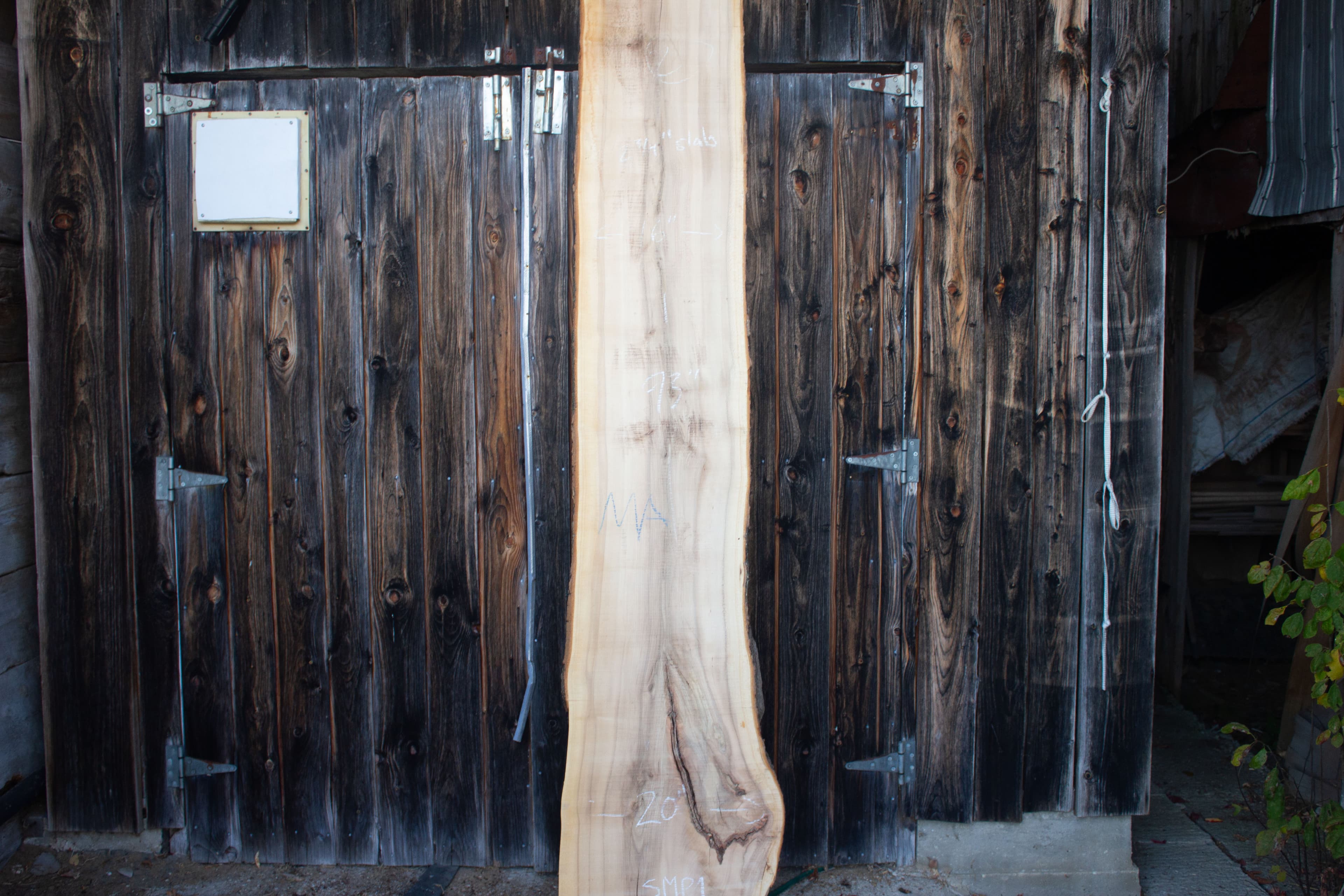 Sugar Maple live edge slab - Sugar Maple Live Edge Slab main view SMP01